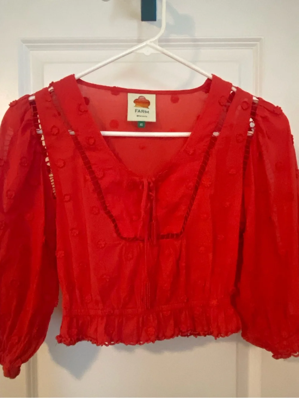 FARM Rio Vibrant Red Embroidered Puff-Sleeve Blouse